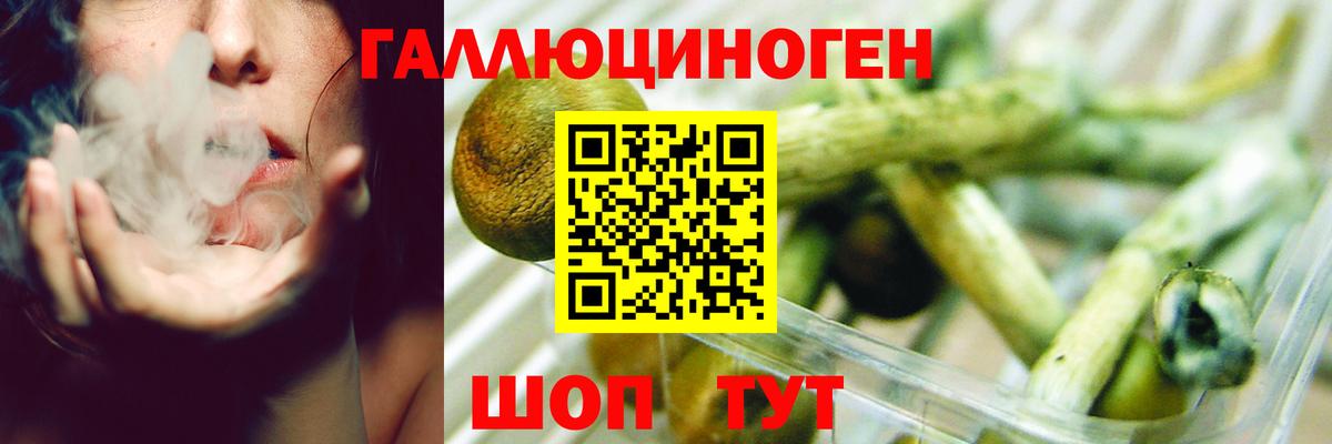 Междуреченск  Галлюциногенные грибы мицелий  Вход с VPN 